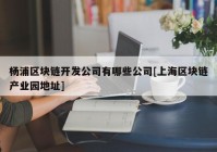 杨浦区块链开发公司有哪些公司[上海区块链产业园地址]